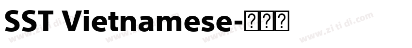SST Vietnamese字体转换